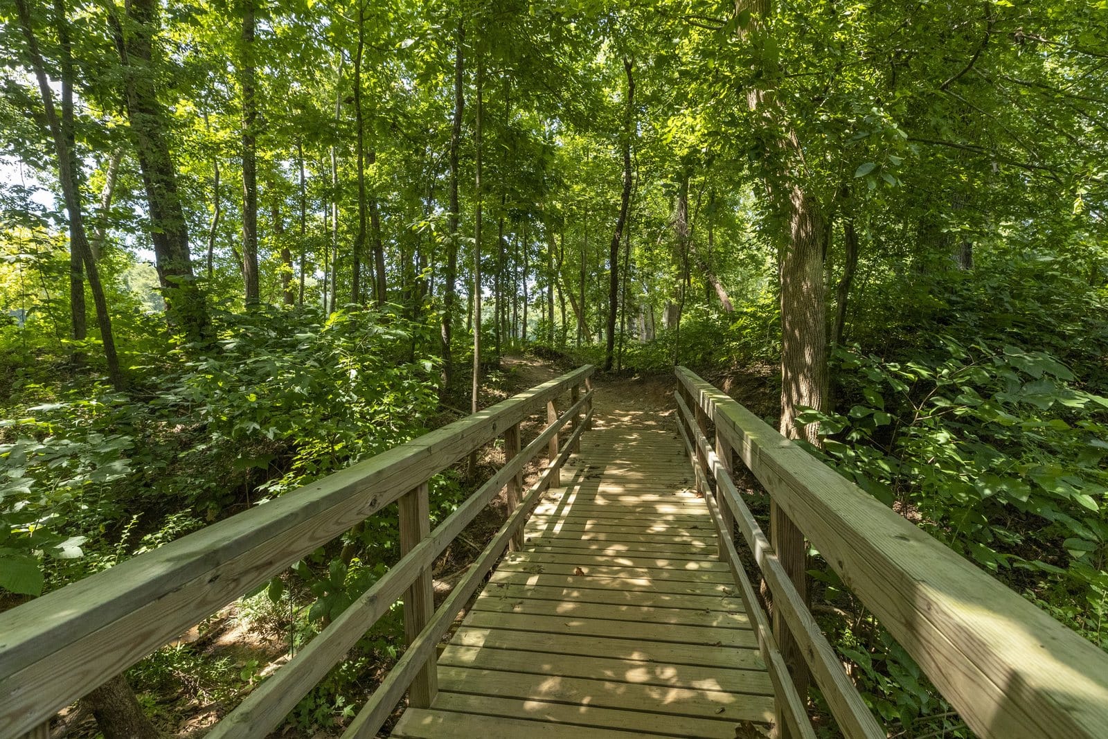 A wooded walking trail in Masons Bend